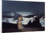 Summer Night by Winslow Homer