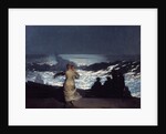 Summer Night by Winslow Homer