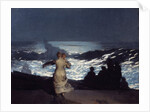 Summer Night by Winslow Homer