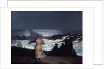 Summer Night by Winslow Homer