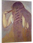 The hair by Henri Edmond Cross