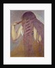 The hair by Henri Edmond Cross
