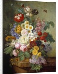 Flowers in a rock by Elise Bruyere