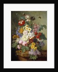 Flowers in a rock by Elise Bruyere
