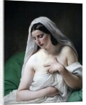 Odalisque (Odalisca) by Francesco Hayez