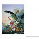 Exotic flowers by Jean Benner