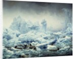 Fishing for Walrus in the Arctic Ocean by Francois-Auguste Biard