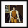 Portrait of Prince Don Carlos by Alonso Sanchez Coello