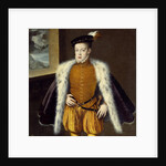 Portrait of Prince Don Carlos by Alonso Sanchez Coello