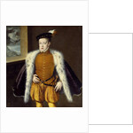 Portrait of Prince Don Carlos by Alonso Sanchez Coello
