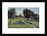 Apple trees in Normandy by Jean Guillaumin
