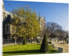 La Cite, small garden near the Cathedrale (cathedral) de Notre Dame by Anonymous