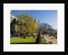 La Cite, small garden near the Cathedrale (cathedral) de Notre Dame by Anonymous