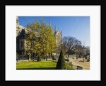 La Cite, small garden near the Cathedrale (cathedral) de Notre Dame by Anonymous