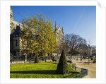 La Cite, small garden near the Cathedrale (cathedral) de Notre Dame by Anonymous