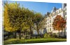 The garden of Place Rene Viviani in autumn by Anonymous