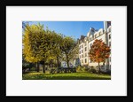 The garden of Place Rene Viviani in autumn by Anonymous