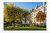 The garden of Place Rene Viviani in autumn by Anonymous