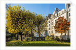 The garden of Place Rene Viviani in autumn by Anonymous