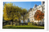 The garden of Place Rene Viviani in autumn by Anonymous