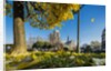 View of the Cathedrale (cathedral) de Notre Dame from Place (square) Rene Viviani in autumn by Anonymous