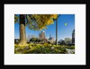 View of the Cathedrale (cathedral) de Notre Dame from Place (square) Rene Viviani in autumn by Anonymous