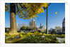 View of the Cathedrale (cathedral) de Notre Dame from Place (square) Rene Viviani in autumn by Anonymous