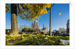 View of the Cathedrale (cathedral) de Notre Dame from Place (square) Rene Viviani in autumn by Anonymous