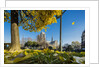 View of the Cathedrale (cathedral) de Notre Dame from Place (square) Rene Viviani in autumn by Anonymous