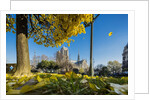 View of the Cathedrale (cathedral) de Notre Dame from Place (square) Rene Viviani in autumn by Anonymous