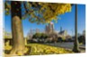 View of the Cathedrale (cathedral) de Notre Dame from Place (square) Rene Viviani in autumn by Anonymous