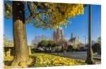 View of the Cathedrale (cathedral) de Notre Dame from Place (square) Rene Viviani in autumn by Anonymous