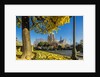 View of the Cathedrale (cathedral) de Notre Dame from Place (square) Rene Viviani in autumn by Anonymous