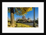 View of the Cathedrale (cathedral) de Notre Dame from Place (square) Rene Viviani in autumn by Anonymous