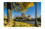 View of the Cathedrale (cathedral) de Notre Dame from Place (square) Rene Viviani in autumn by Anonymous