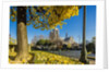 View of the Cathedrale (cathedral) de Notre Dame from Place (square) Rene Viviani in autumn by Anonymous