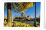 View of the Cathedrale (cathedral) de Notre Dame from Place (square) Rene Viviani in autumn by Anonymous