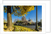View of the Cathedrale (cathedral) de Notre Dame from Place (square) Rene Viviani in autumn by Anonymous