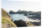 Lizard Peninsula, view of Kynance Cove by Anonymous