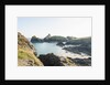 Lizard Peninsula, view of Kynance Cove by Anonymous