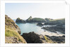 Lizard Peninsula, view of Kynance Cove by Anonymous