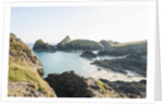 Lizard Peninsula, view of Kynance Cove by Anonymous