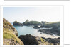 Lizard Peninsula, view of Kynance Cove by Anonymous