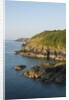 Lizard Peninsula, Cadwight by Anonymous