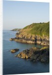 Lizard Peninsula, Cadwight by Anonymous