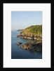 Lizard Peninsula, Cadwight by Anonymous