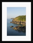 Lizard Peninsula, Cadwight by Anonymous