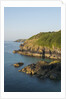 Lizard Peninsula, Cadwight by Anonymous