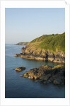 Lizard Peninsula, Cadwight by Anonymous