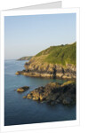 Lizard Peninsula, Cadwight by Anonymous